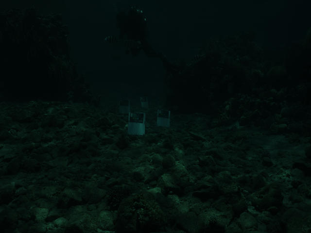 Depth estimation result